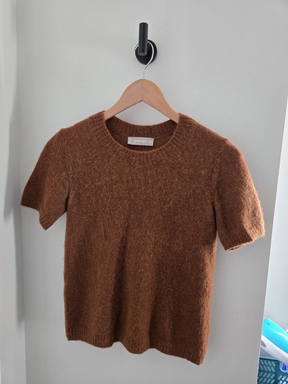 Everlane Chestnut Brown Short-Sleeve Crewneck Sweater